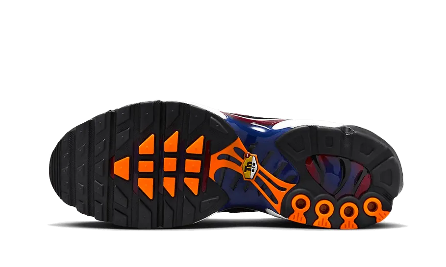 Air Max Plus Patta FC Barcelona - FN8260-001