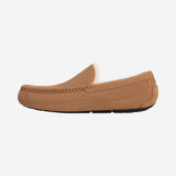 UGG Ascot Slipper Chestnut