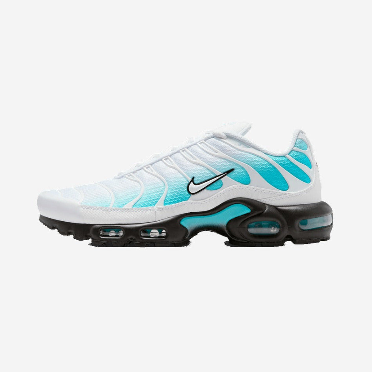 Nike Air Max Plus Dusty Cactus