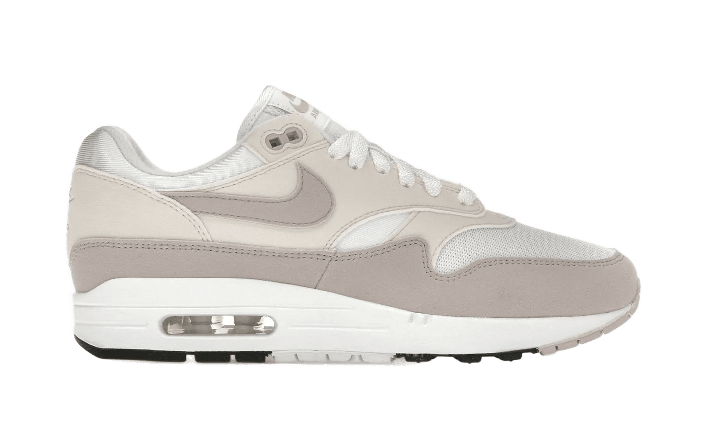 Air Max 1 Platinum Violet - DZ2628-106