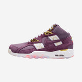 Nike Air Trainer SC High Atlanta Olympics 30th Anniversary