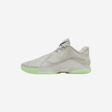 Nike LeBron 22 Dunkman (Translucent Outsole)