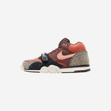 Nike SB Air Trainer 1 Arts-Rec Limestone