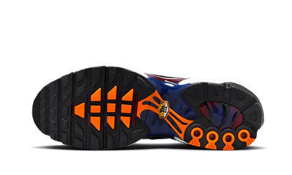 Air Max Plus Patta FC Barcelona - FN8260-001