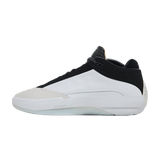 Jordan 40 The Classic