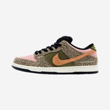 Nike SB Dunk Low Arts-Rec