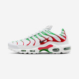 Nike Air Max Plus Italy