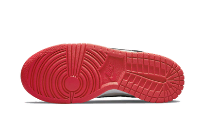 Nike Dunk Low NBA 75th Anniversary Chicago Bulls