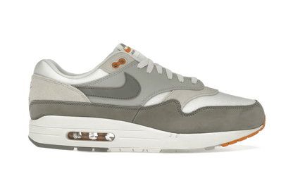 Air Max 1 Light Iron Ore Flat Pewter - IB1492-121