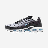 Nike Air Max Plus Black Light Smoke Grey
