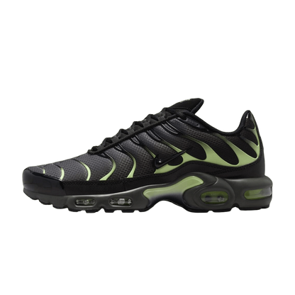 Nike Air Max Plus Iron Gray Light Liquid Lime Black DM0032-035 — Sneakers Nike su LAB19